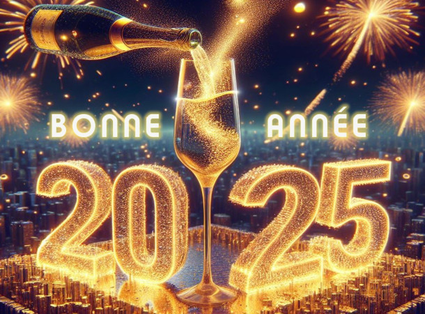 Bonne Année 2025 de la part de Guy Hoquet Immobilier Annecy !